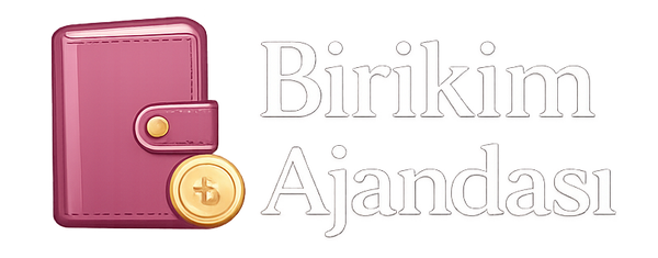 Birikim Ajandası